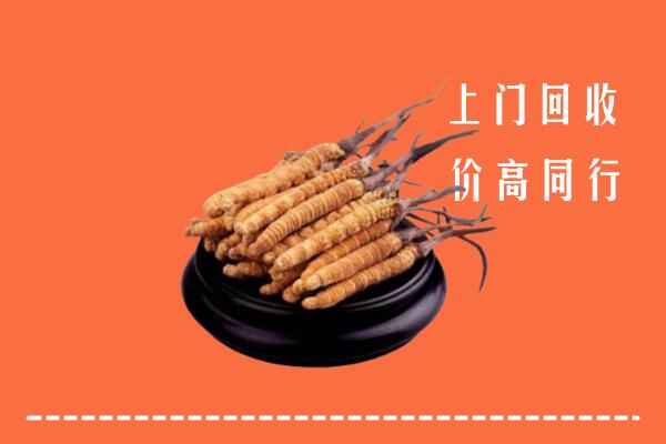 收购行情：格尔木市冬虫夏草回收多少钱每克